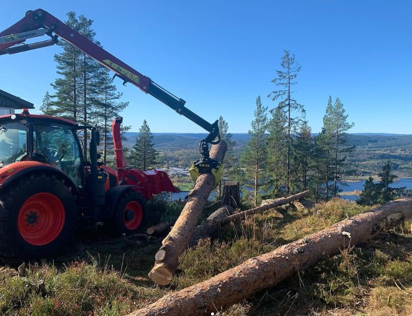 Tømmerkran løfter stamme i skogsterreng