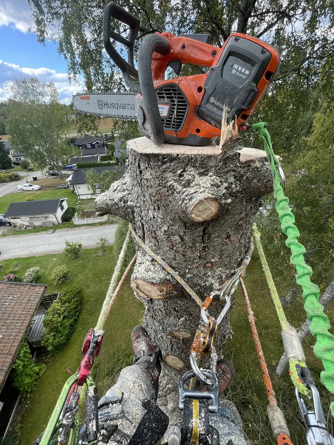 Seksjonsfelling sett fra klatrerens posisjon